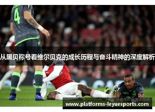 从黑贝称号看维尔贝克的成长历程与奋斗精神的深度解析