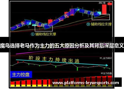 魔鸟选择老马作为主力的五大原因分析及其背后深层意义 魔鸟选择老马作为主力的五大原因分析及其背后深层意义