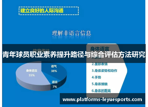青年球员职业素养提升路径与综合评估方法研究