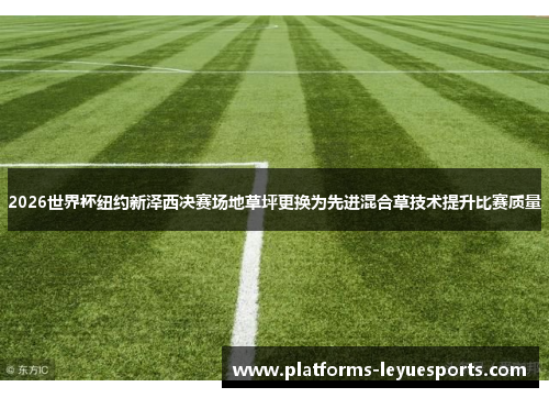 2026世界杯纽约新泽西决赛场地草坪更换为先进混合草技术提升比赛质量